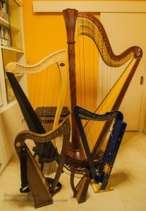 000005 Five Harps at home (with watermark)